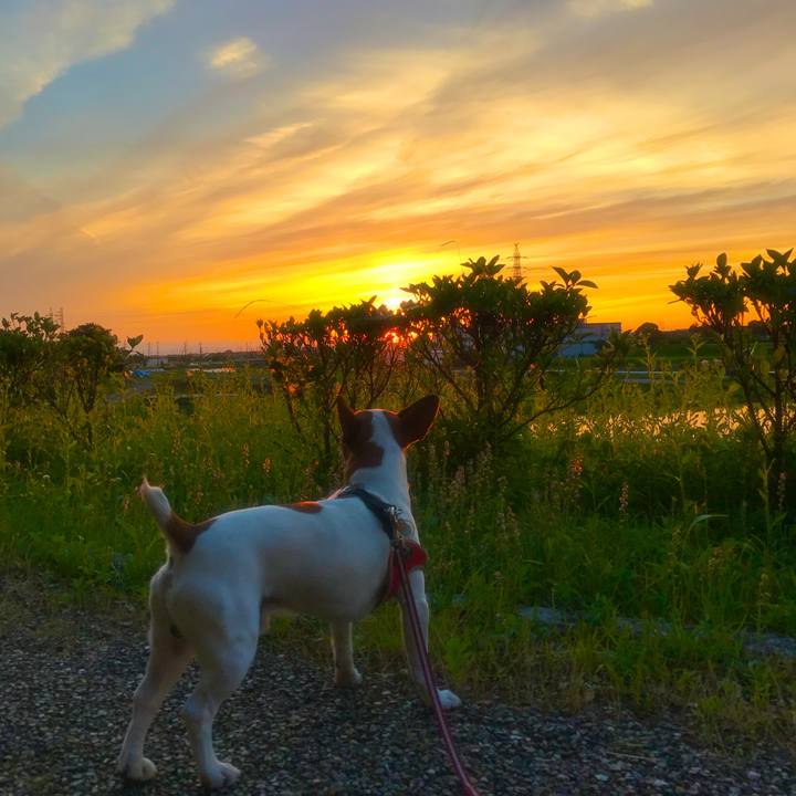 Bcc4cfbc 2424 4039 877a 07641a253d09