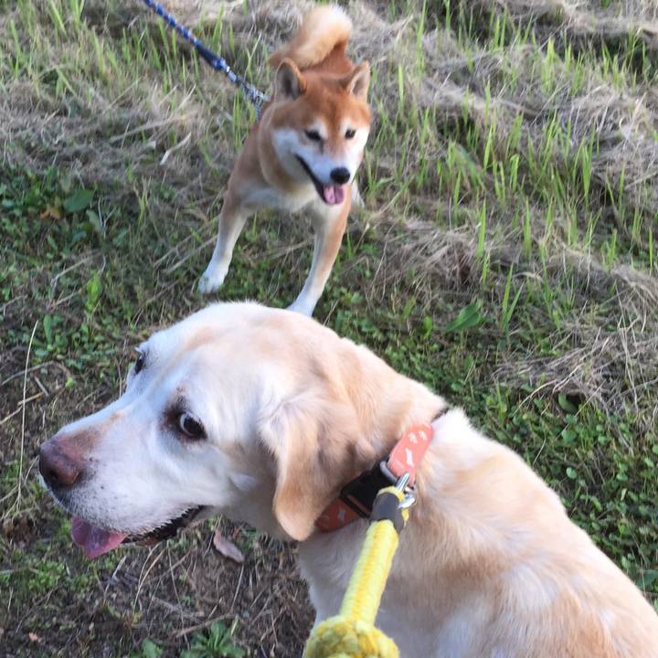 Bcc4f916 714b 481b 9445 77cd095ca42b