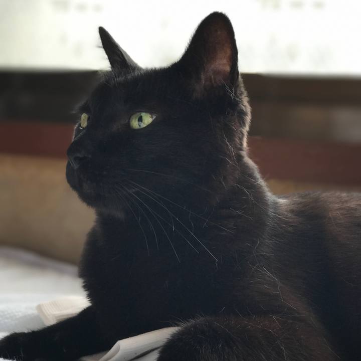 Bcc4fe1a c998 4006 91ed b6c090ace289