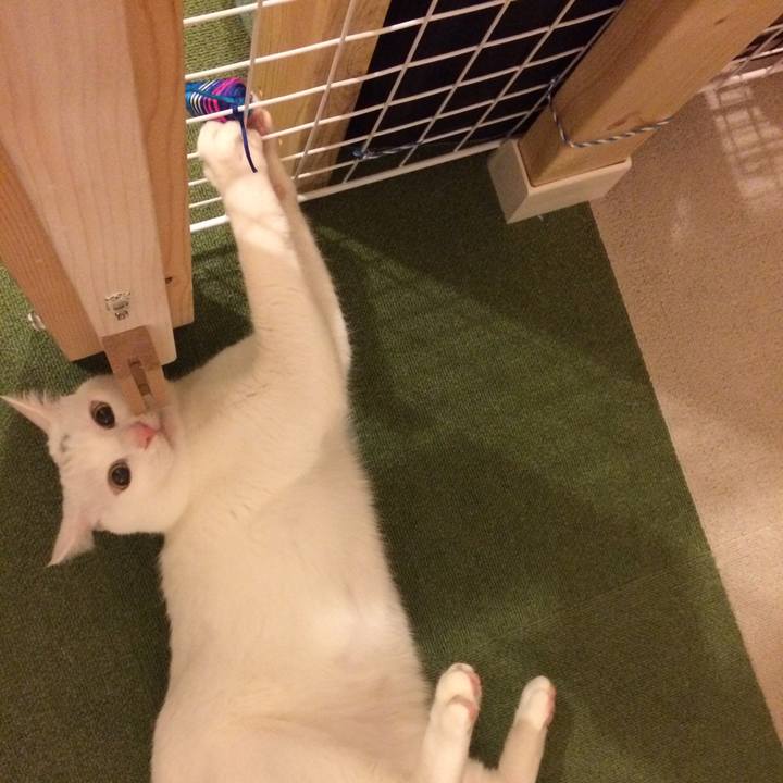 Bcc50f52 6b47 4e39 b9c8 b0a5e5f751d7