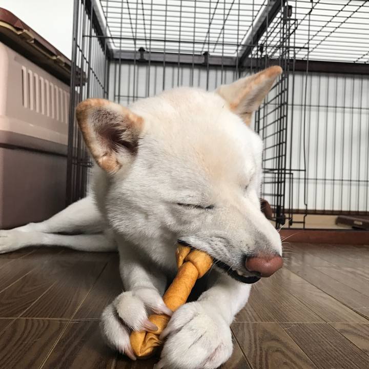 Bcc51255 57e3 4a33 990c 67e3cfbdb71c