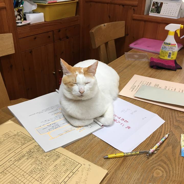 Bcc54dd4 48c8 4ed6 876c cd124045f1f8