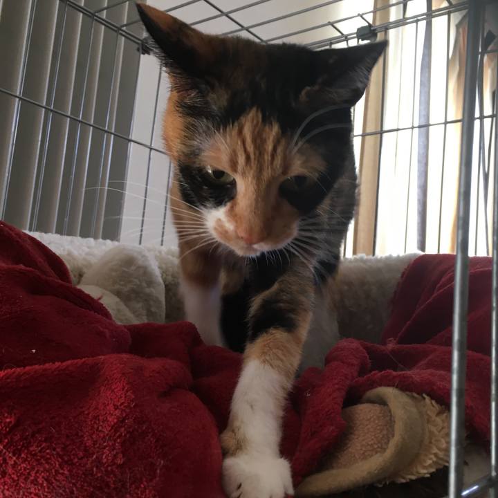 Bcc5bad0 aa6b 4366 bdf1 b63daa23b25c