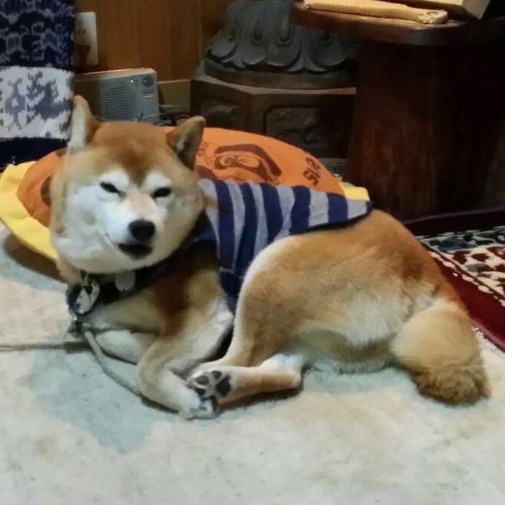 Bcc63e5c c915 42f5 af64 dc3da0b37f25