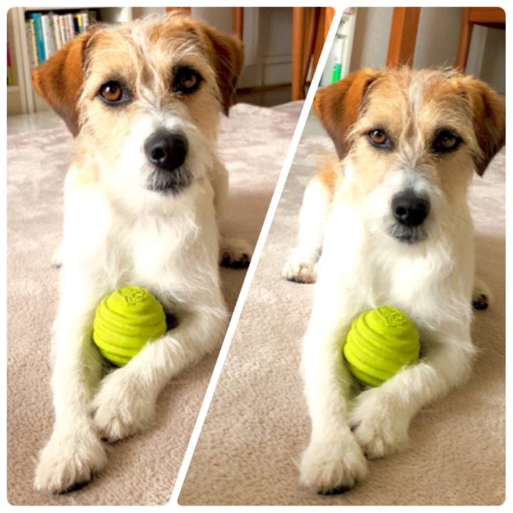 Bcc7dd2d a0c0 4a9d a3c5 41af8ca67bba