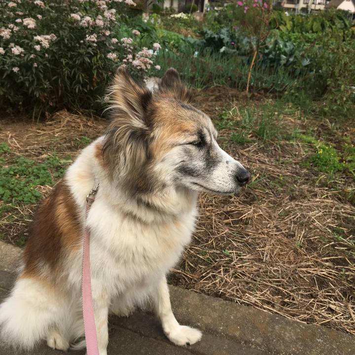 Bcc81145 9578 442b bde0 be5317161857