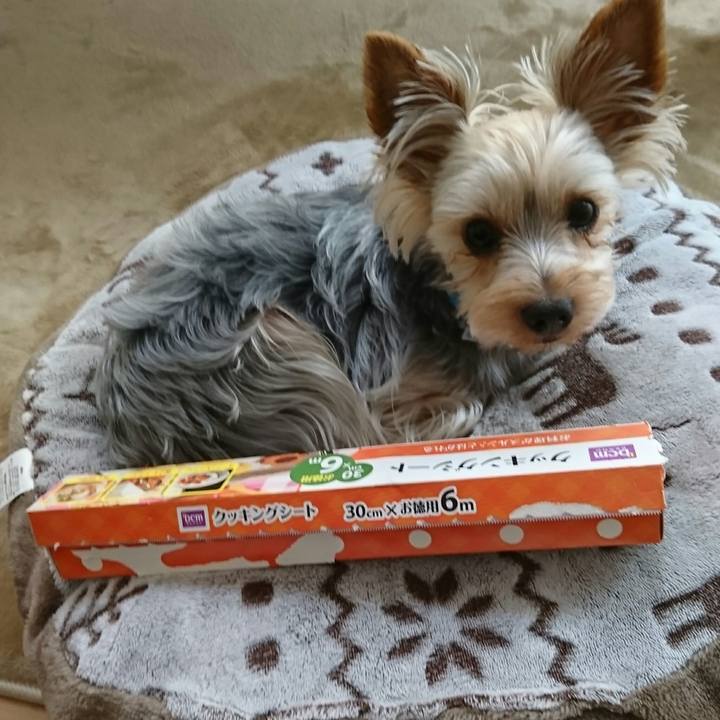 Bcc88efb fb03 4522 9914 c914dc203105