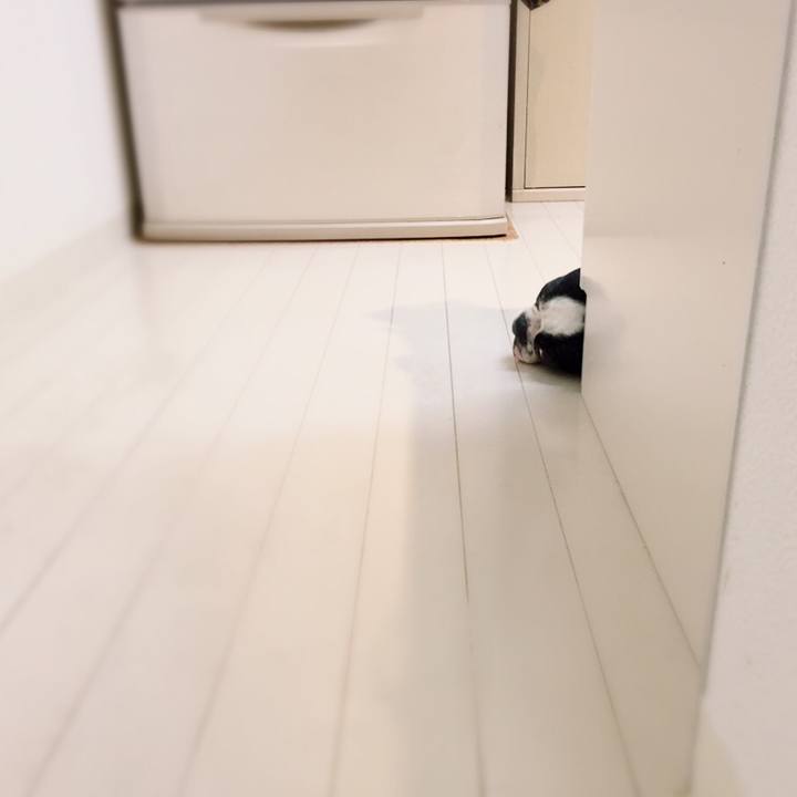 Bcc8c6dd 5bb7 4f47 8ceb 45572aaf9dca