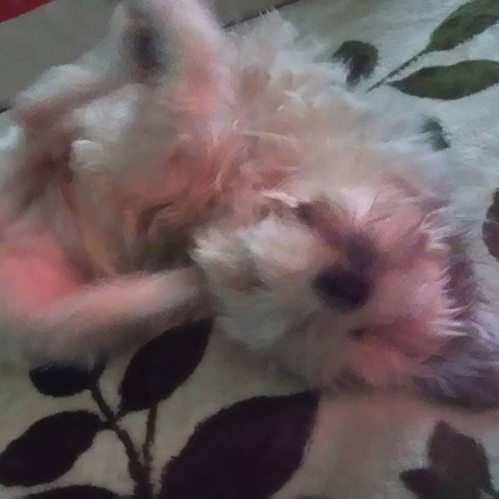 Bcc90969 8b60 4d35 b8cf dfffc973705a