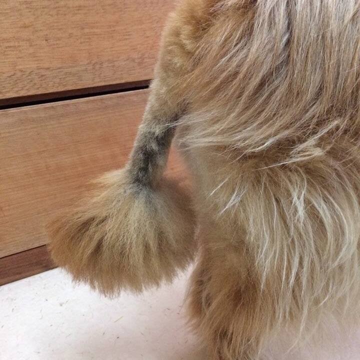 Bcc915b1 4801 422c adfd 761c80958b44