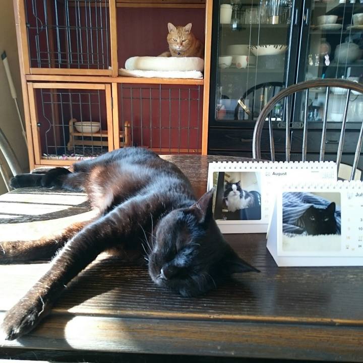 Bcc93b5b 310f 4f94 bed9 c09a2f8c1c2b