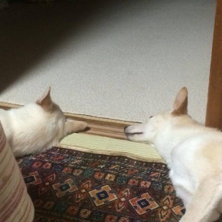 Bcca089a ae66 49fe b5d5 0af278ba2db1