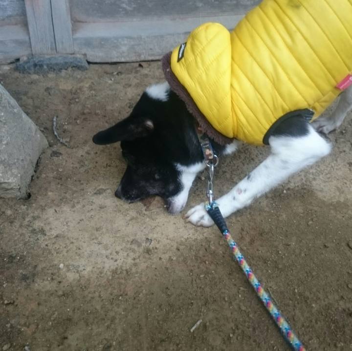 Bcca125c 684b 439b 831b c7b4d79eb6d3