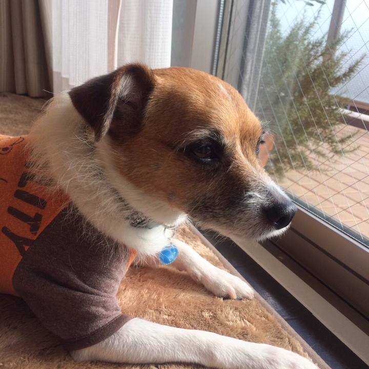 Bccb4a91 826c 411e a1a5 3485bcc3e62b