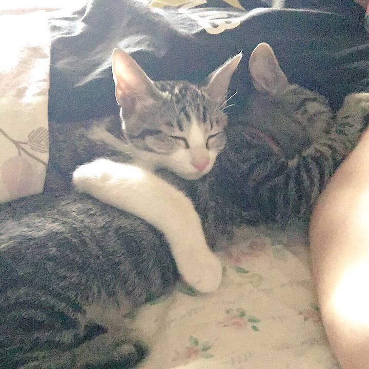 Bccbc60a a13e 410f a5b7 903f07db447d