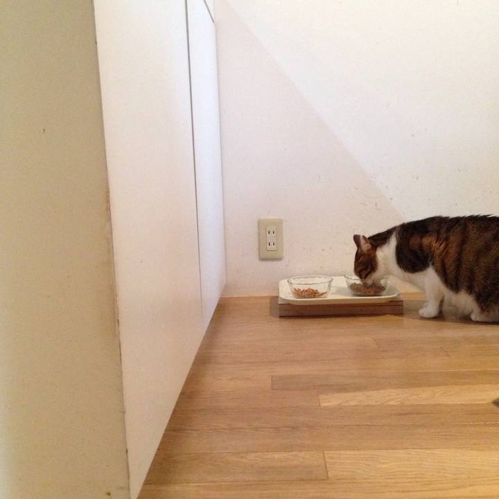 Bccbfb87 b77b 4708 b0e3 3550605eaf7e