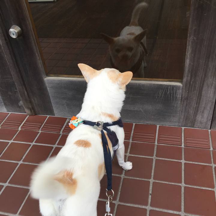 Bccd1616 36bb 46da 9cb4 c4d6b9cd1d9e