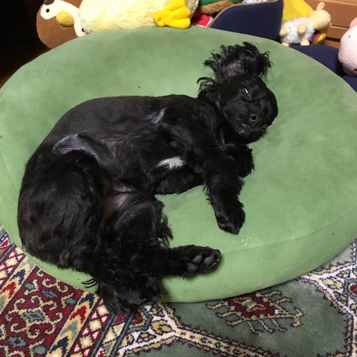 Bccd561d 852d 45c9 abba d10907d5b58c