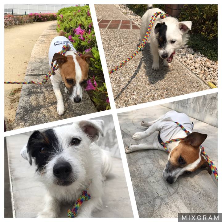 Bccd94f2 22f5 4caf a4b6 7ec70eaeb24c