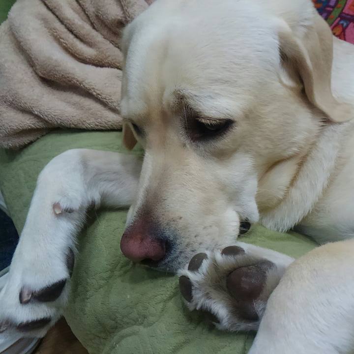 Bccdbcd7 14ba 49aa 9b7e e57720f9025f