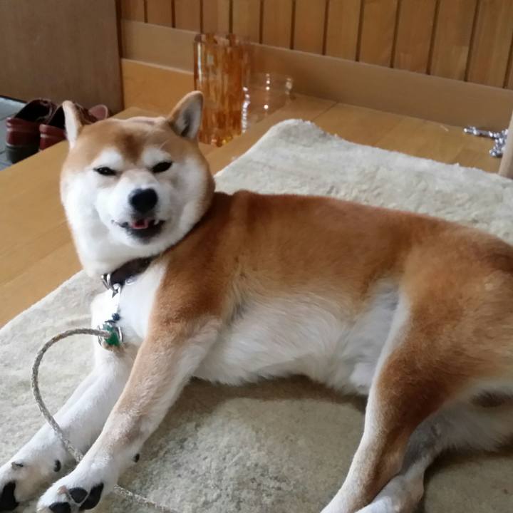 Bccde1a9 5ff3 4c81 9a5d 71922cd41e07