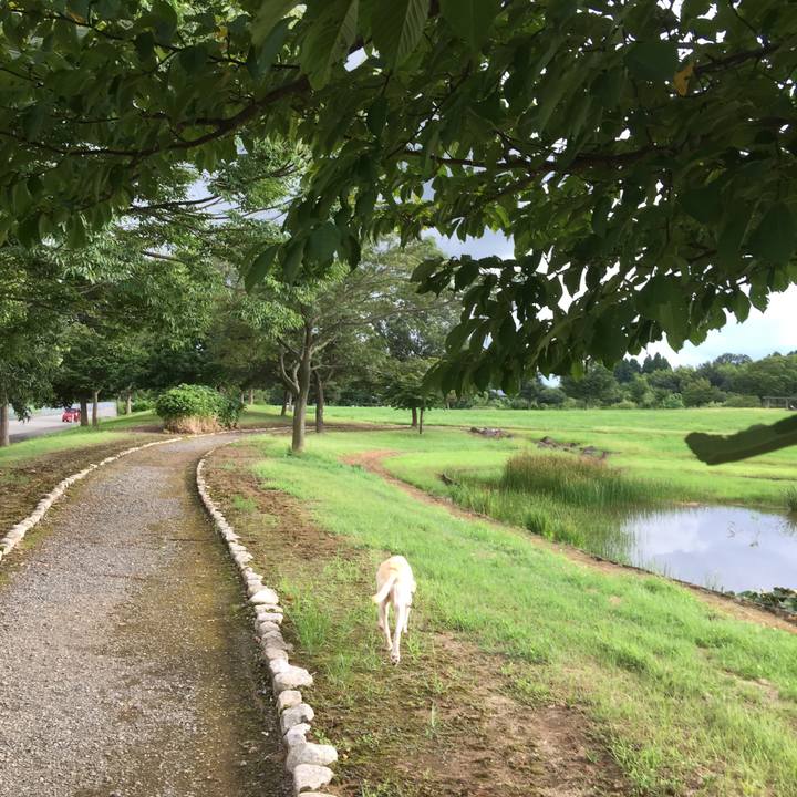 Bccde8d4 6128 47b4 8541 8e4fe2c6af00