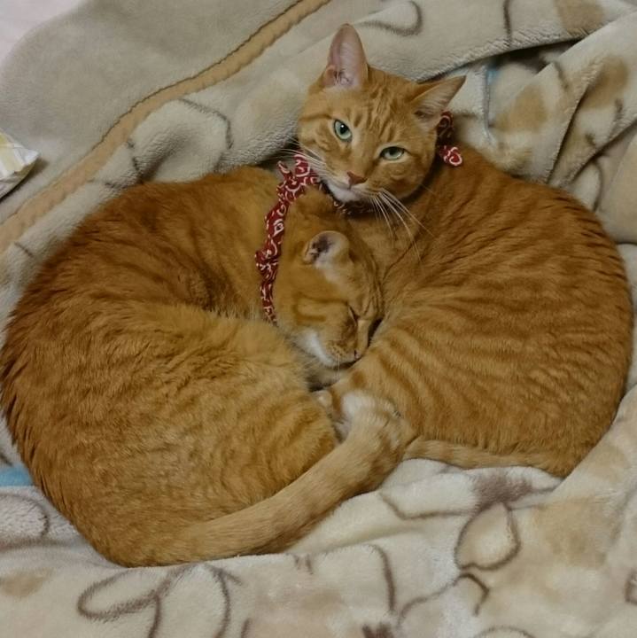 Bcce773a 875e 4f88 8ef5 92e4d585f547