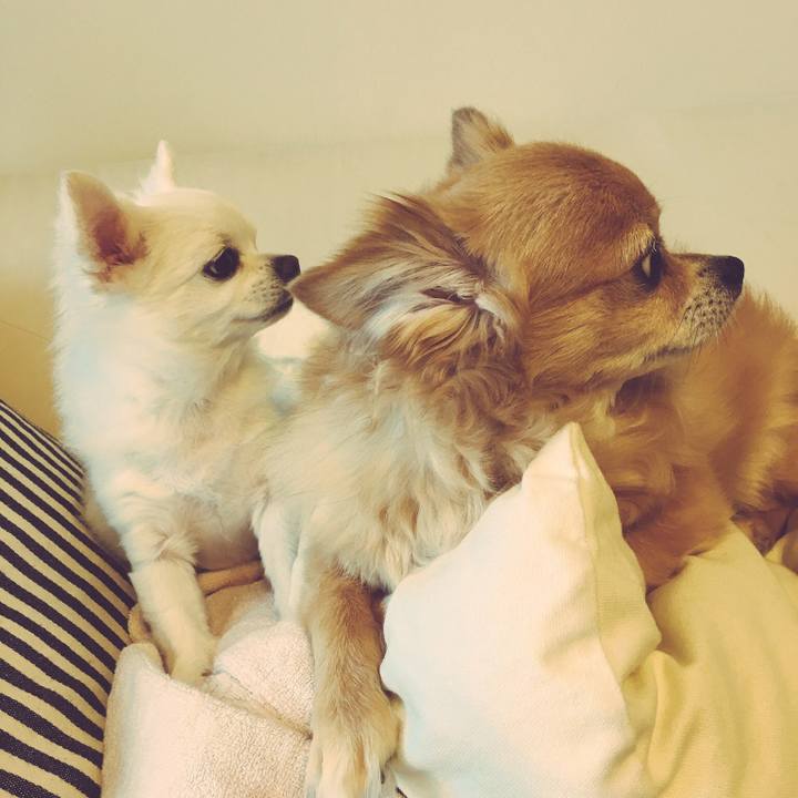 Bcce9c8d d893 461a b016 80103950c352