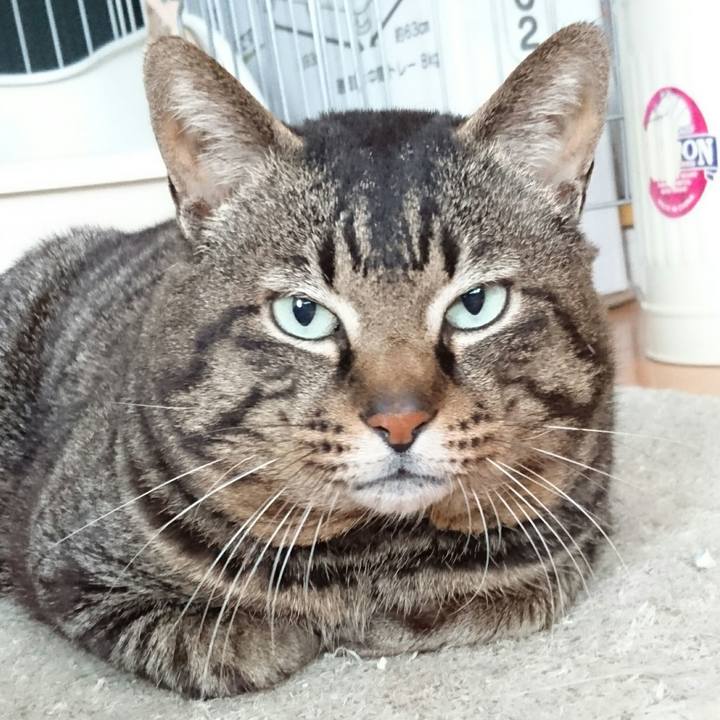 Bcceae5b cc73 460e 8707 7aecdd7ca395