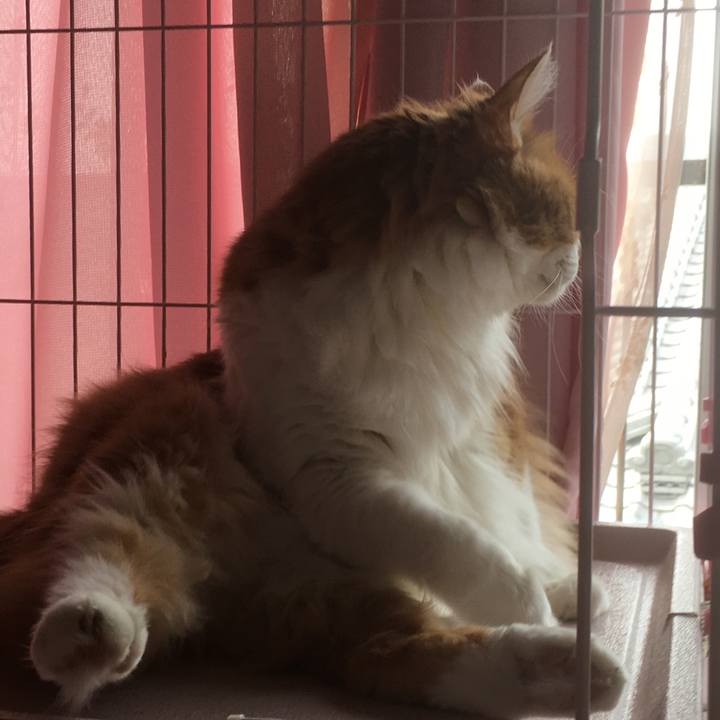 Bccf88dd e91a 4ed7 8231 62526542714e