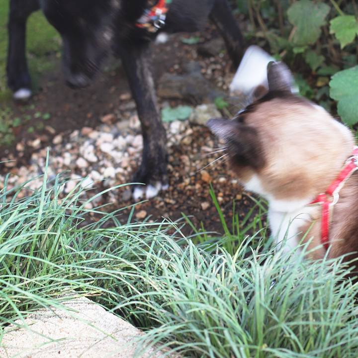 Bcd07439 d62f 4472 8a9f b9496eddf790