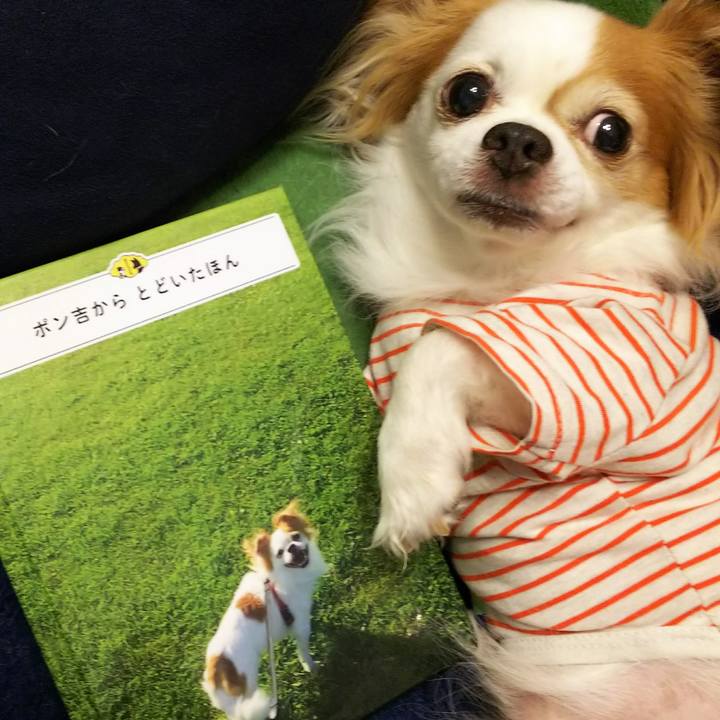 Bcd0d58c 6673 4a6d bee4 a2eec4c45ece