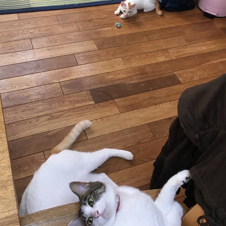 Bcd17d99 79dd 4ed7 b4ed 91b569294b61