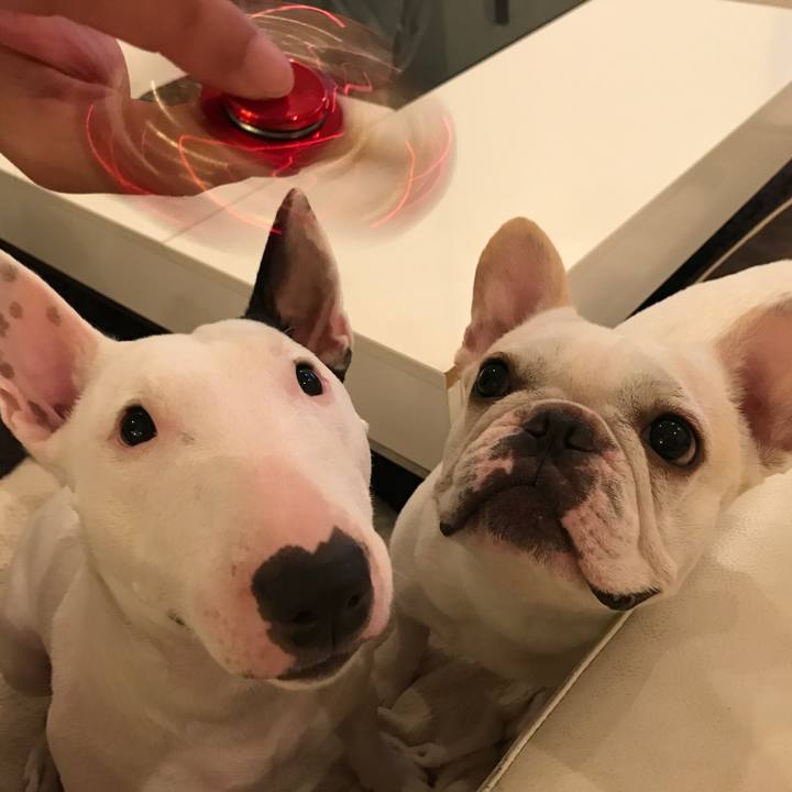 Bcd1b312 f9c7 4471 8b15 8d179a34f5a3