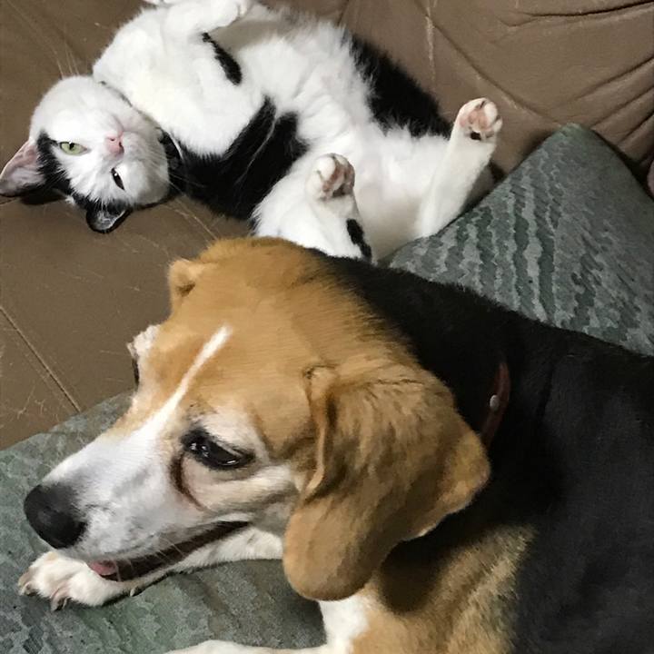 Bcd1d5c3 5fb5 4dfd a030 59f6b109807e