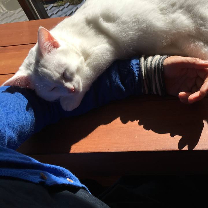 Bcd1eba8 5722 49de 9976 fe0e8e3bf581