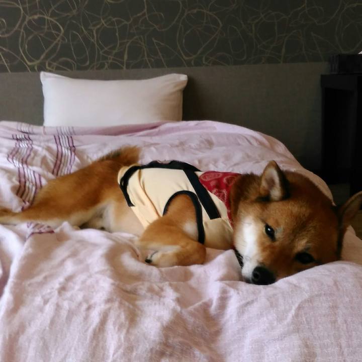 Bcd1eece dbc0 4e94 b1df d47e0915652a