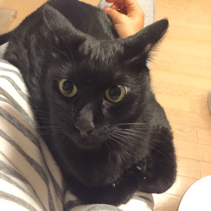 Bcd22c18 69b5 46cf a353 e80ca1ffa9cd