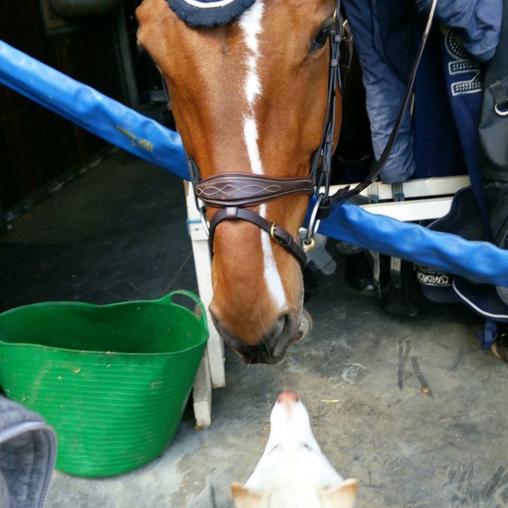 Bcd23ea5 f773 4419 9108 b29515526e35