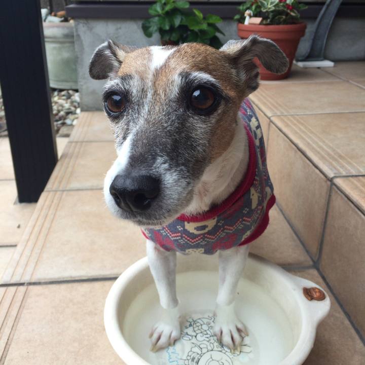 Bcd31e3d ec67 4aeb ba1d f616c572f3d3