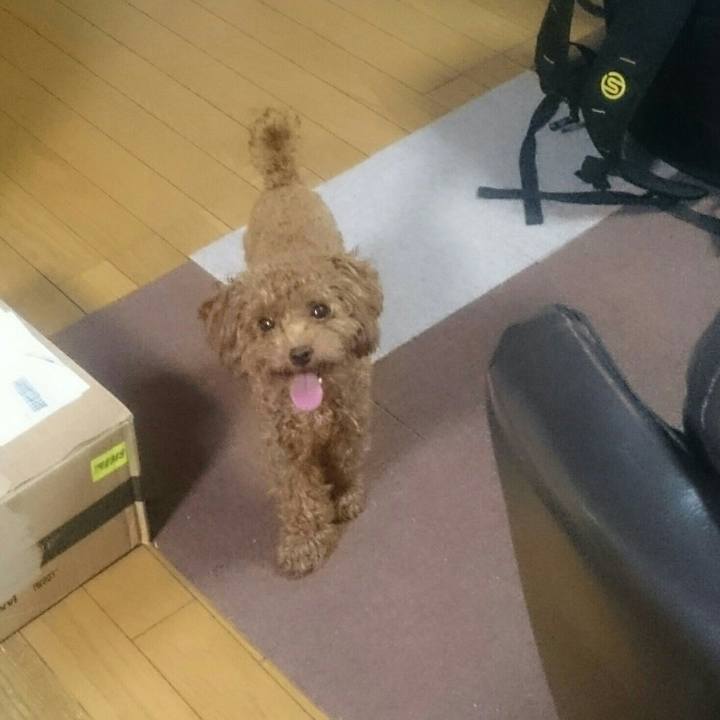 Bcd38e3d 698a 4bdd a868 2ea2d91c8523