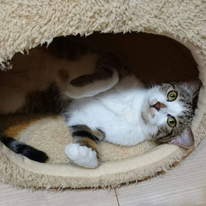 Bcd3d036 78f9 4671 8c18 86f0b20820d6