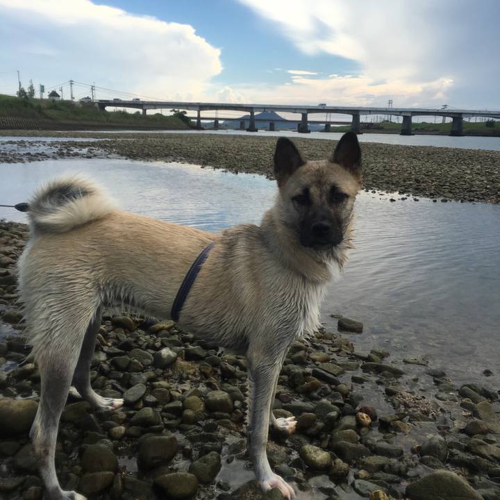 Bcd4a6e3 5efd 4573 b561 fc812e694e04