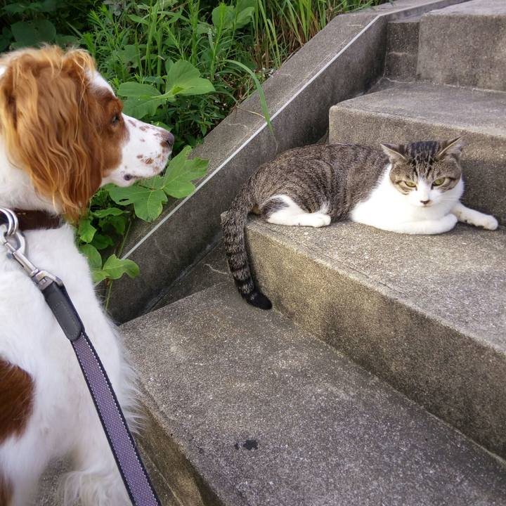 Bcd4c7c5 f64a 4b27 9cb9 4c0b9d110771