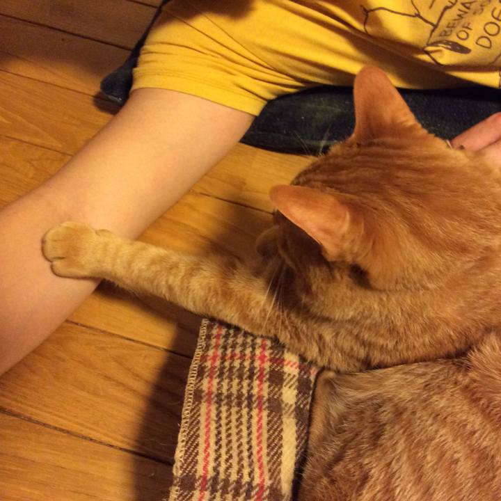 Bcd4fcf3 7425 4b92 b752 a35583270669