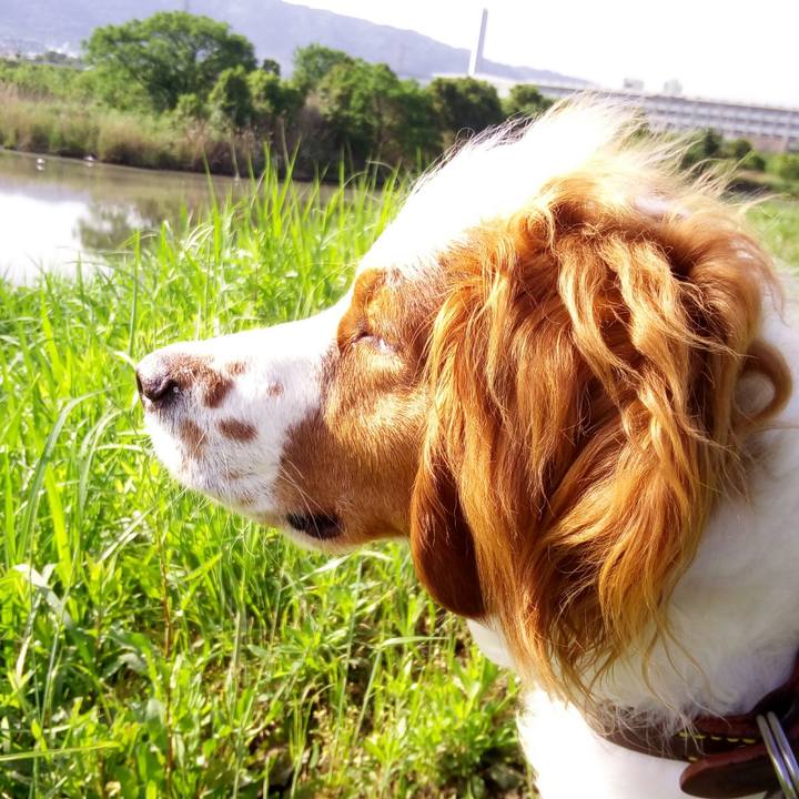 Bcd563b1 24d5 4707 be2d e998e8d8ec4a