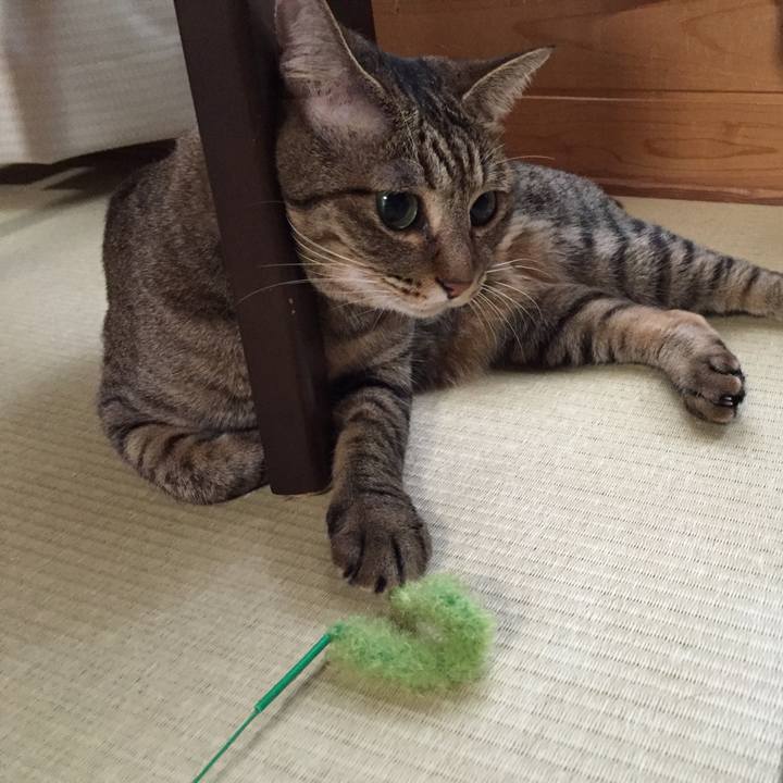 Bcd5817a b3a2 4541 9ac4 e55b4e43e3e7