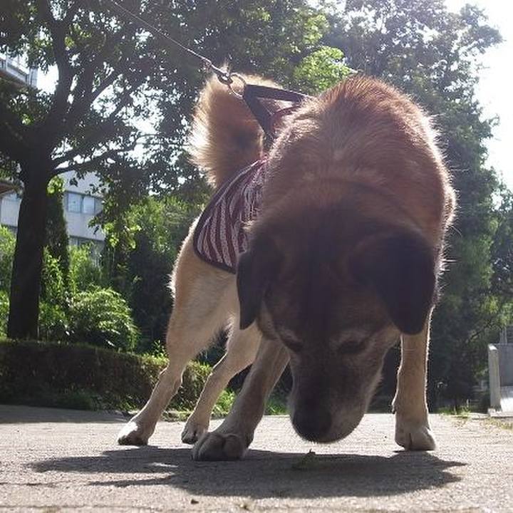 Bcd58495 63ee 4021 bde5 a944a3d6a729