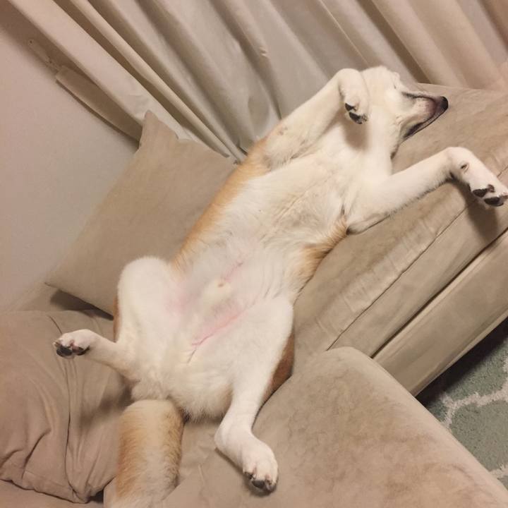 Bcd6399c dc4a 4d94 9662 5e65178d7811