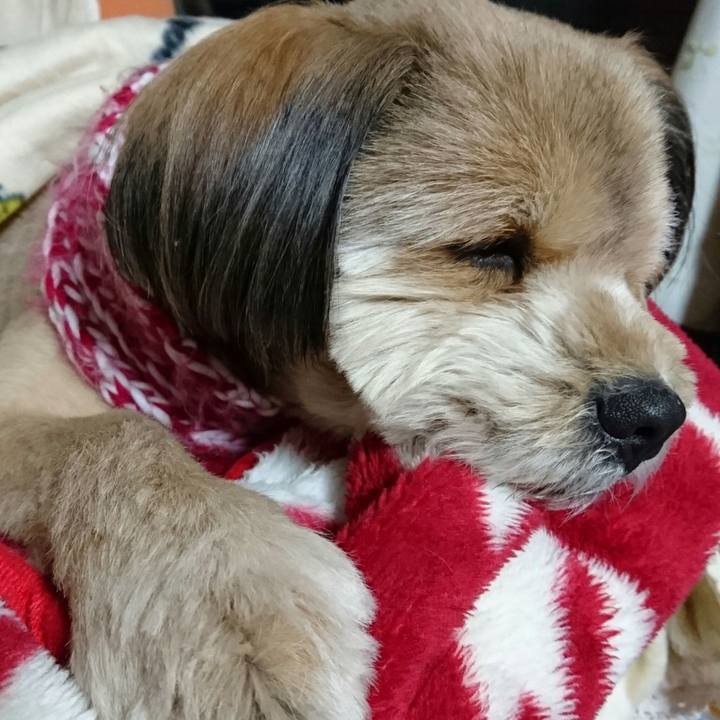 Bcd6a22a 2c0e 439c 8b02 c68645669d31